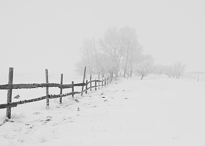 brown wooden fence near trees covered in snow