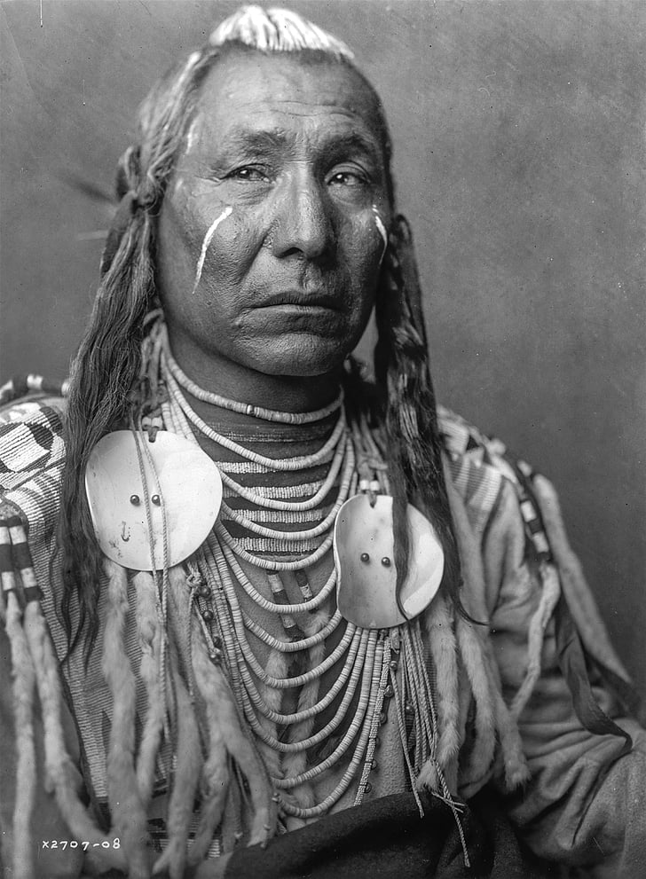 male native Indian American photo