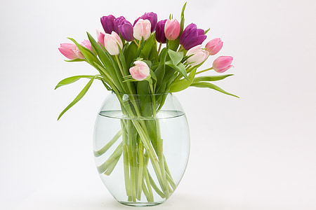 purple and pink flowers inside glass vase with water