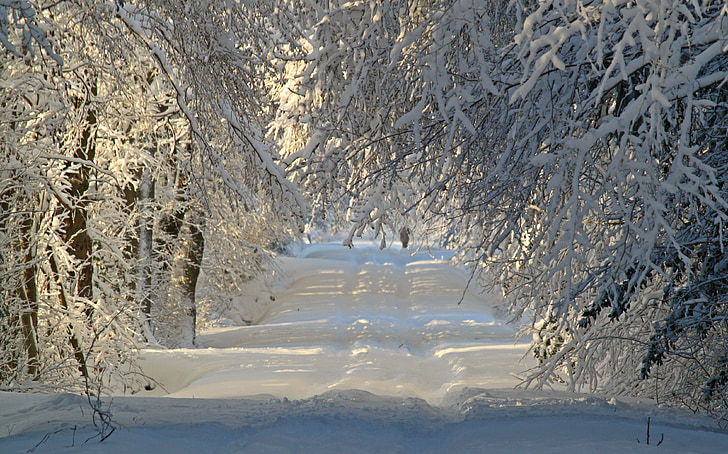 white snow covered road