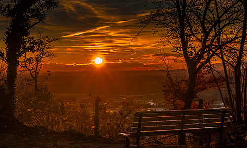 photogaphy of brown wooden bench while sunset
