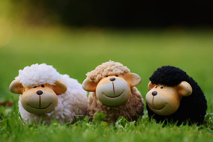 white, brown, and black sheep plush toy on green grass