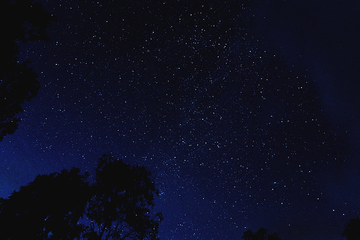 stars at the sky during nighttime