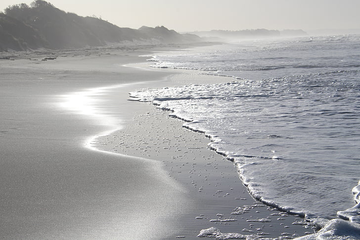 photo of seashore during daytime