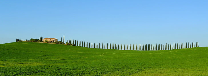 green grass field on hill at daytime