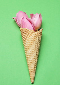 three pink tulips in cone
