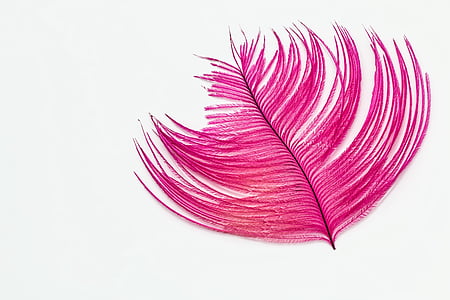 pink glitter feather