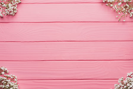 white flowers on pink wooden pallet