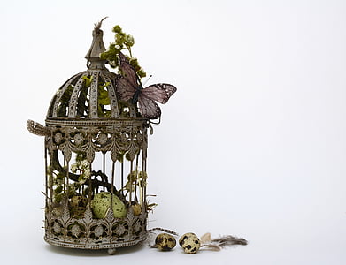 quail egg in dome black metal birdcage