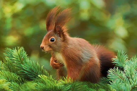 selective focus photography of brown squirrel on green pine tree