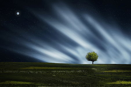 lone tree under the moon digital wallpaper