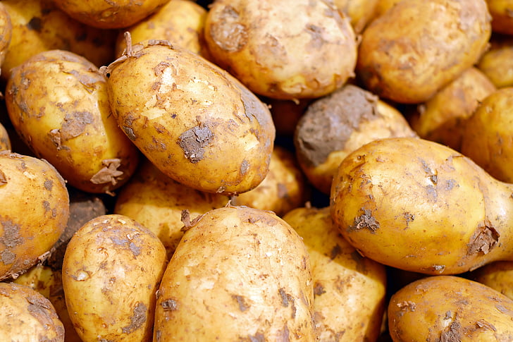 closeup photography of brown potatoes
