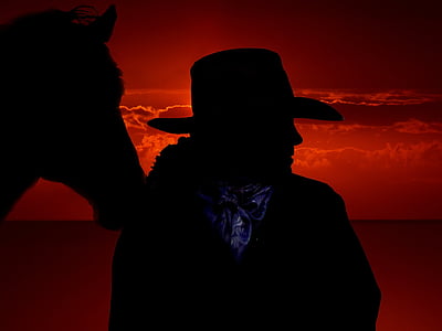 silhouette of cowboy beside horse