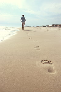 person walking on brown beach shore during daytime