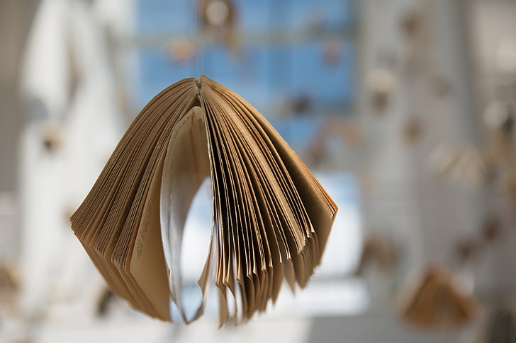 selective focus photography of book