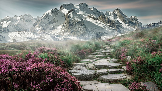 rocky pathway in front of snowy mountain during daytime