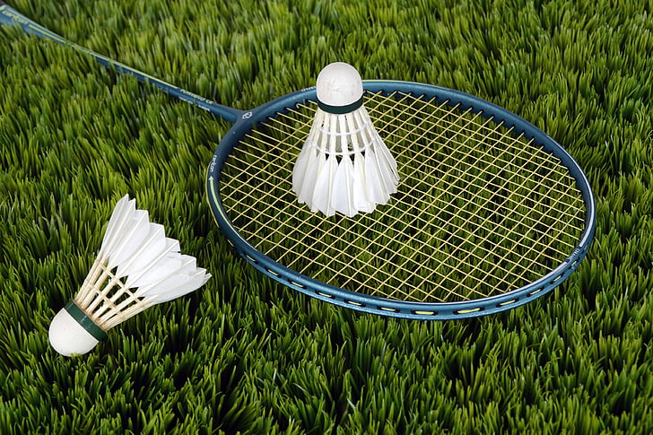 blue badminton racket and white shuttle cocks