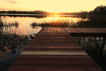 brown wooden dock