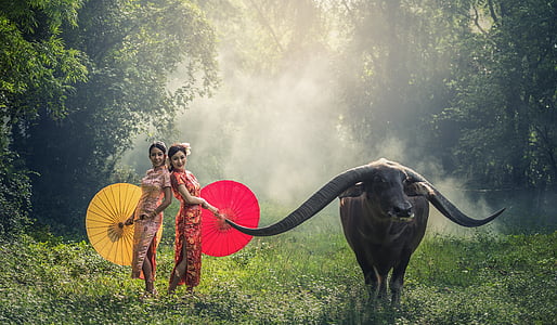 two women takes photo beside long-horned animal in forest at daytime