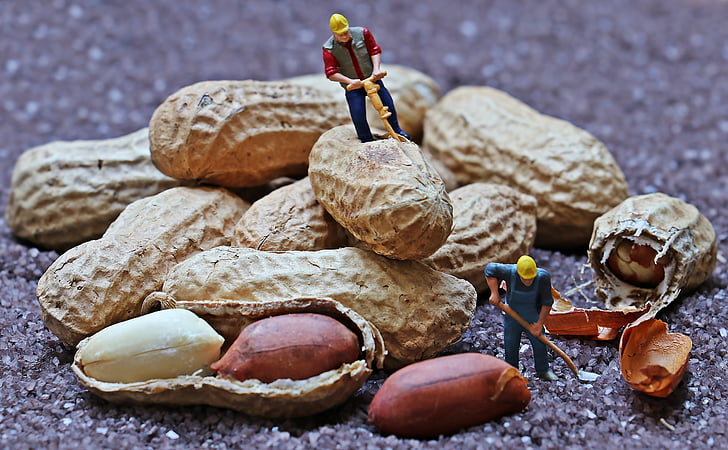 two construction worker miniatures opening peanuts