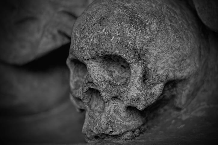 human skullhead grayscale photo