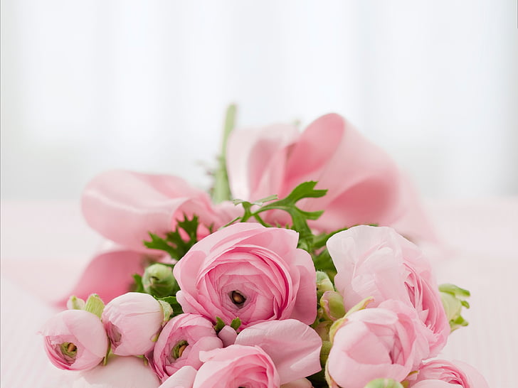 pink peonies bouquet closeup photo