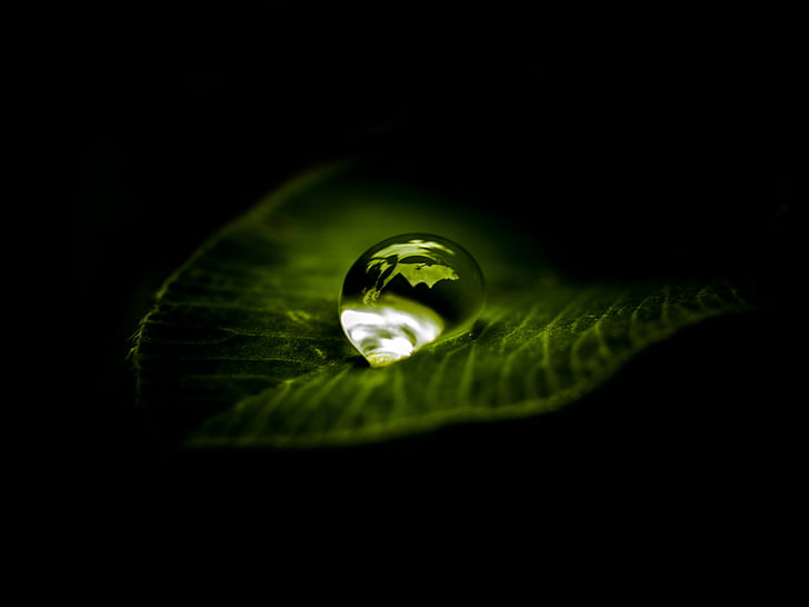 macro photography of water drops into the leaf