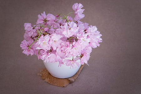 pink flowers in white vase