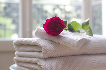 red rose on top of white towels near window