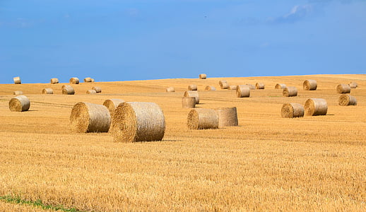 brown hay rolls