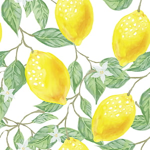 illustration of lemon fruits