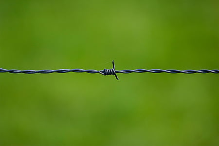 gray barb wire