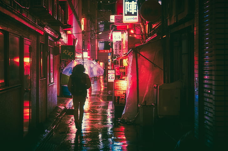 woman walking on street under the umbrella