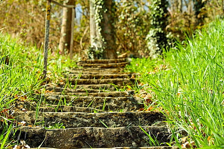 brown stairs with green grasses
