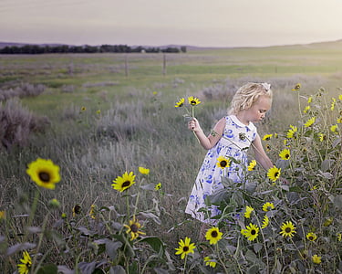 girl picking sunflower during daytime