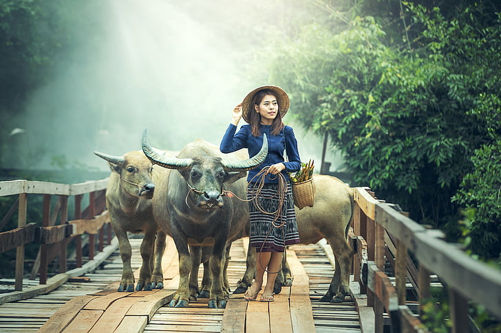 woman wearing blue long-sleeved top standing beside water buffalo on bridge during daytime