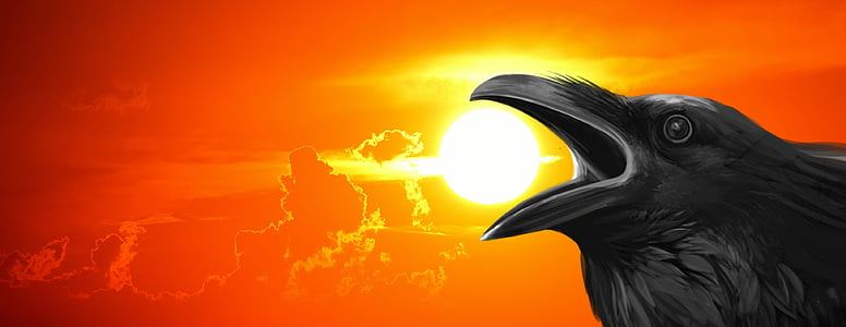 crow opening beak during sunset painting