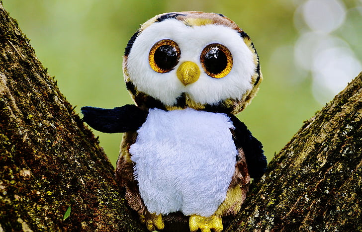 shallow focus photography of white and yellow owl plush toy