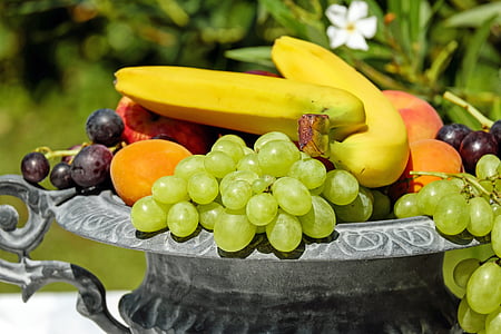 assorted fruits in gray steel container