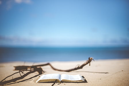 selective focus photo of an opened book near shoreline