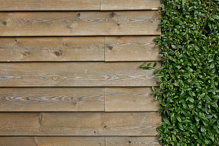 high-angle photo of green grass and brown wooden panel