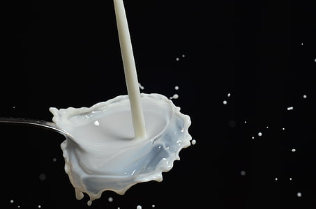 photo of milk drops