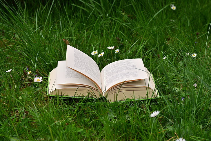 book on green grass during daytime