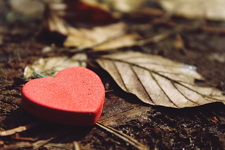 heart and dried leaves