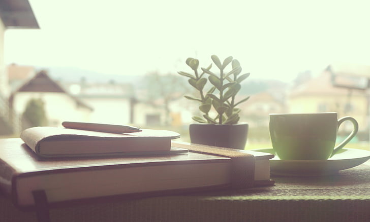 white ceramic teacup beside plant and pile of books