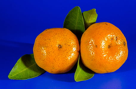 two citrus fruits