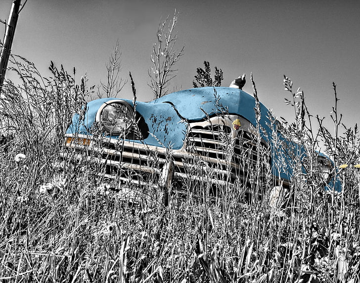 selective color photography of classic blue car