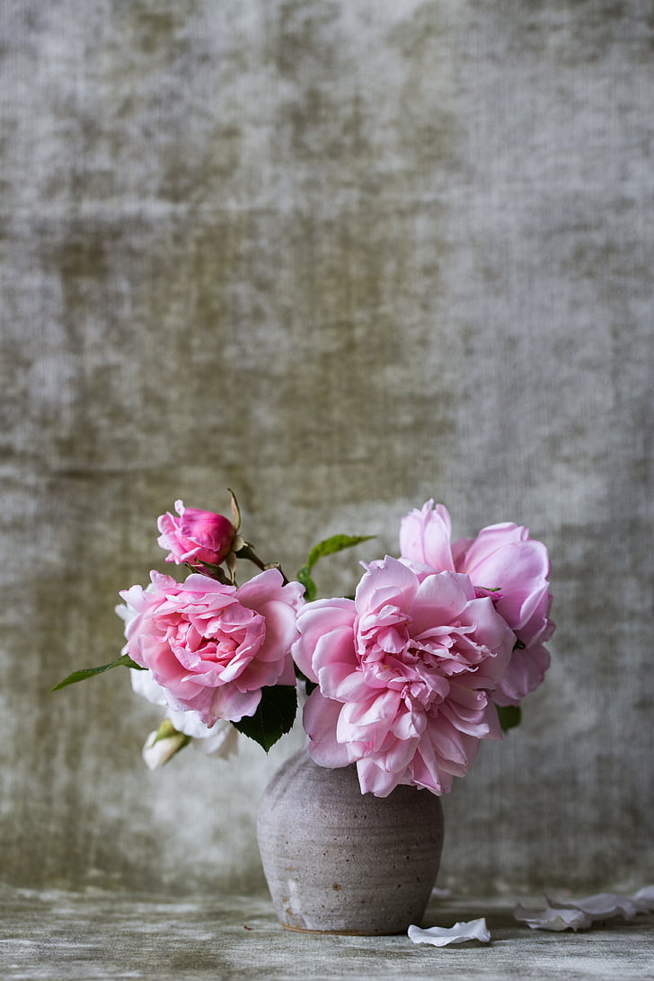 closeup photography of pink petaled flowers in vase