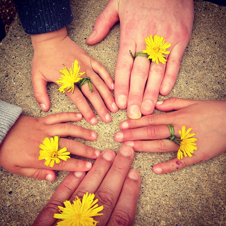 five yellow dandelion rings