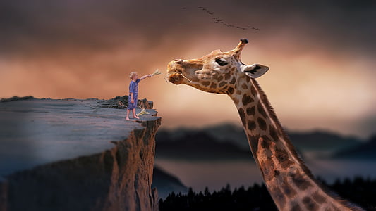 girl in blue dress feeding giraffe